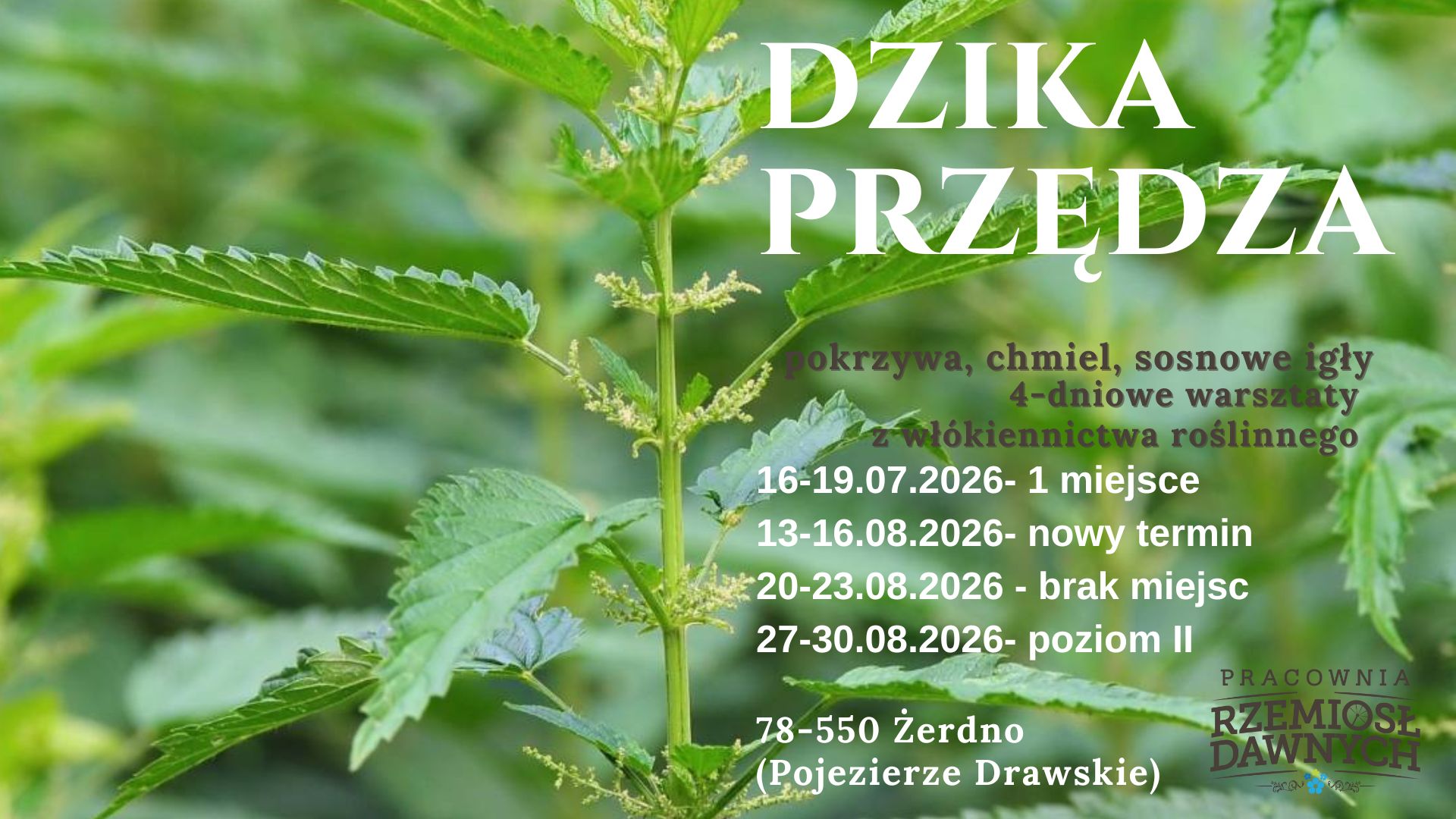 DZIKA PRZĘDZA 2026. ZAPISY Włókno z pokrzywy, chmielu i igieł sosnowych