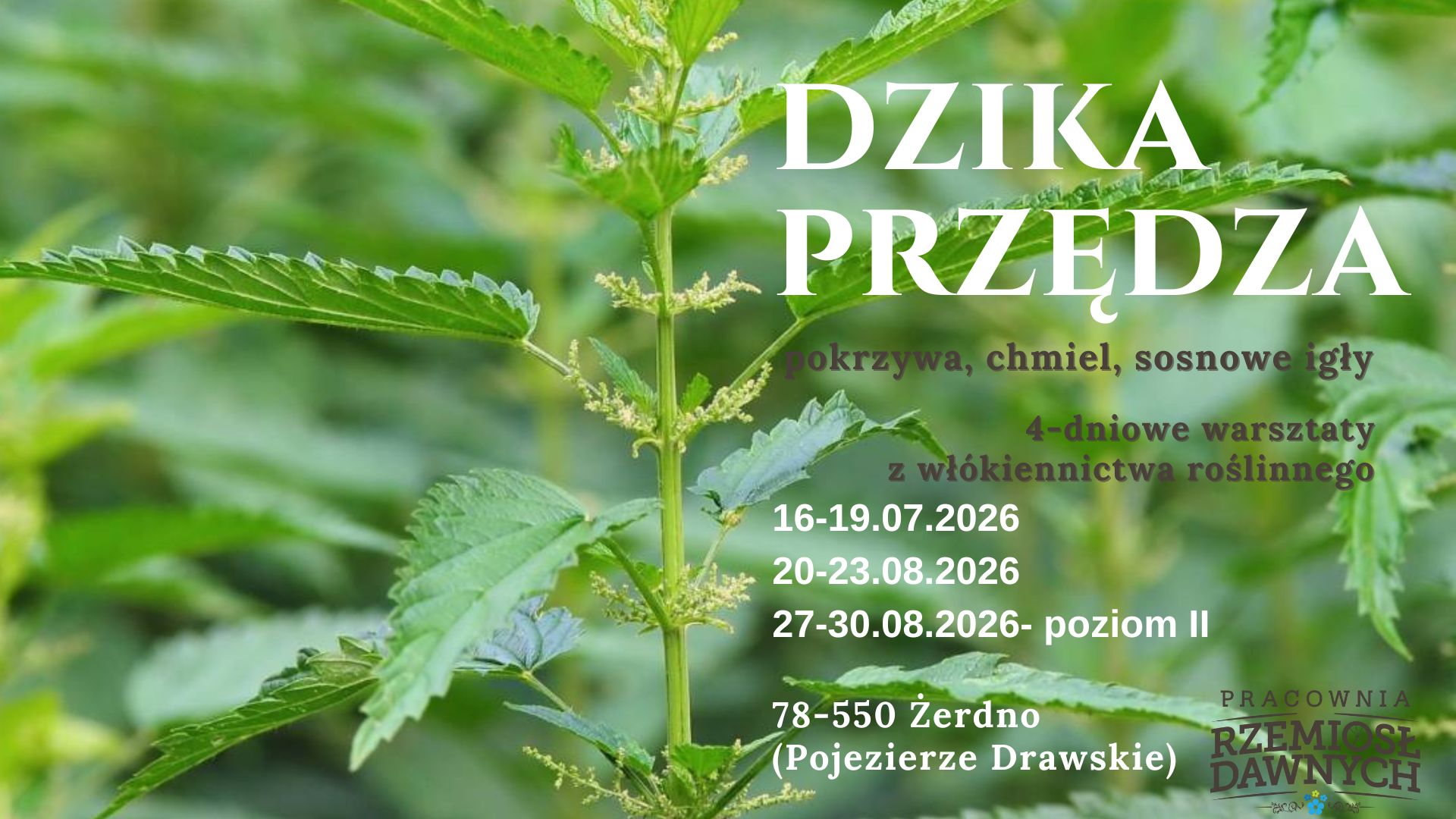 DZIKA PRZĘDZA 2026. ZAPISY Włókno z pokrzywy, chmielu i igieł sosnowych